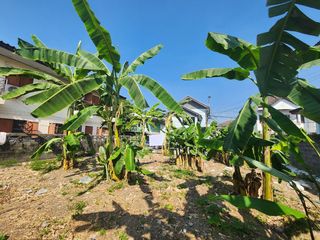 For rent and for sale land in Mueang Nonthaburi, Nonthaburi