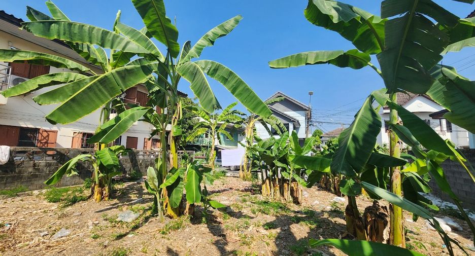 For rent and for sale land in Mueang Nonthaburi, Nonthaburi