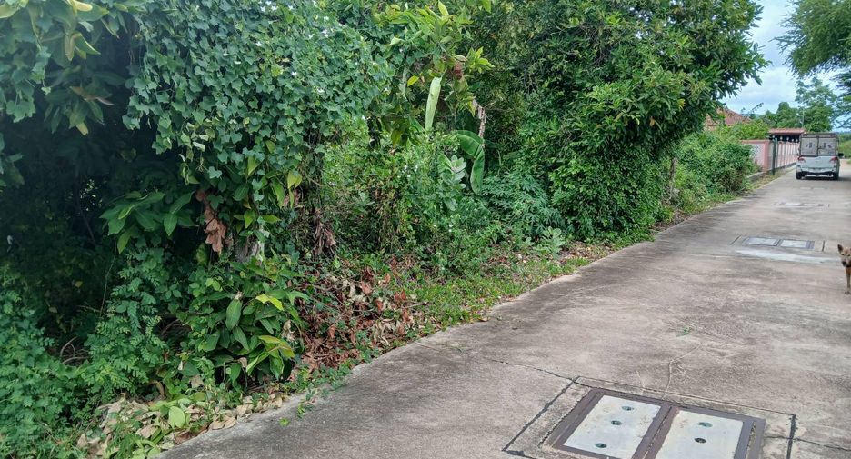 出售 土地 在 Sattahip, Chon Buri