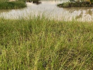 For sale land in Lao Khwan, Kanchanaburi