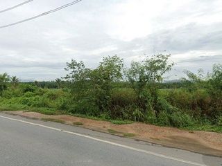 For sale land in Nong Yai, Chonburi