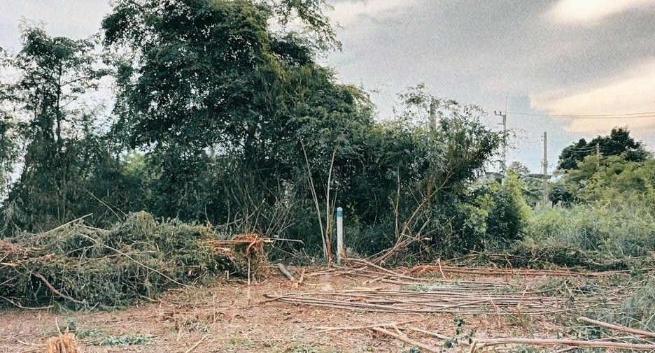 For sale land in Mueang Saraburi, Saraburi