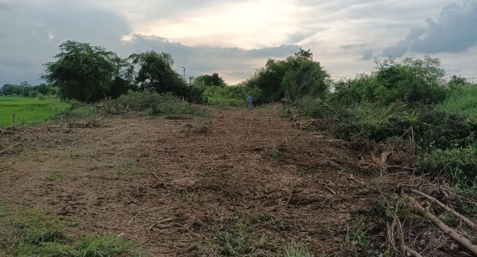 For sale land in Mueang Saraburi, Saraburi