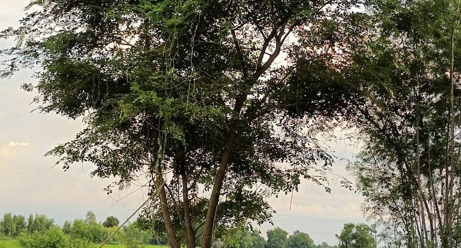For sale land in Mueang Saraburi, Saraburi