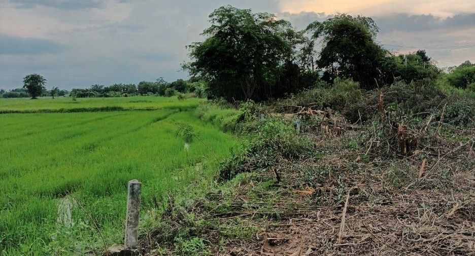For sale land in Mueang Saraburi, Saraburi