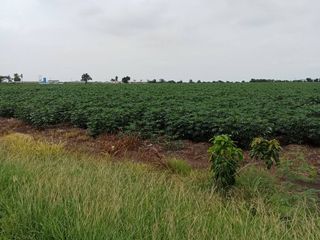 For sale land in Phatthana Nikhom, Lopburi