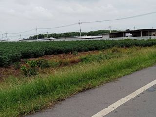 For sale land in Phatthana Nikhom, Lopburi