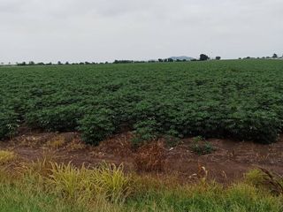 For sale land in Phatthana Nikhom, Lopburi