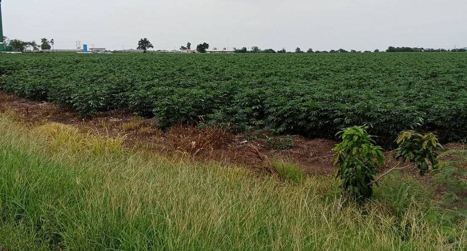 For sale land in Phatthana Nikhom, Lopburi