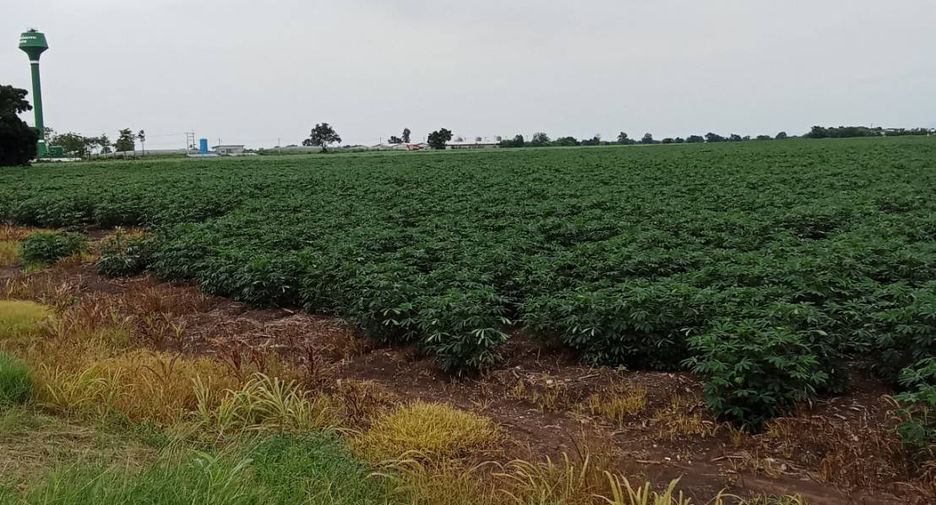 For sale land in Phatthana Nikhom, Lopburi