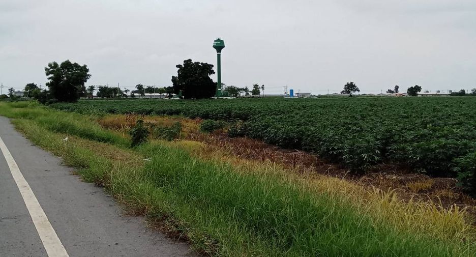 For sale land in Phatthana Nikhom, Lopburi