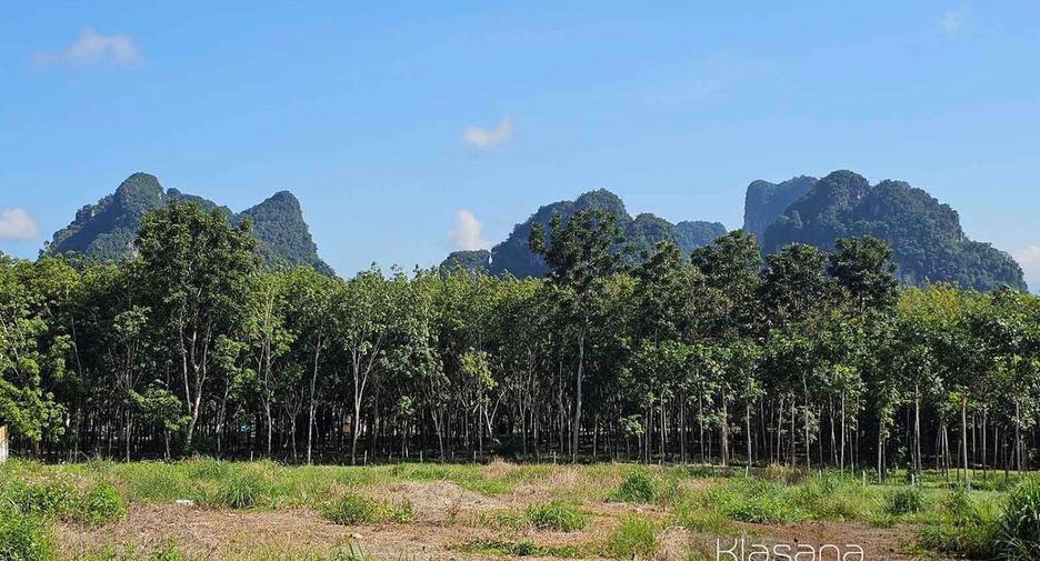 Grundstück zum Kauf in Mueang Krabi, Krabi