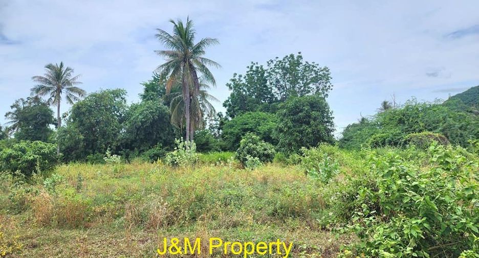 For sale land in Pran Buri, Prachuap Khiri Khan