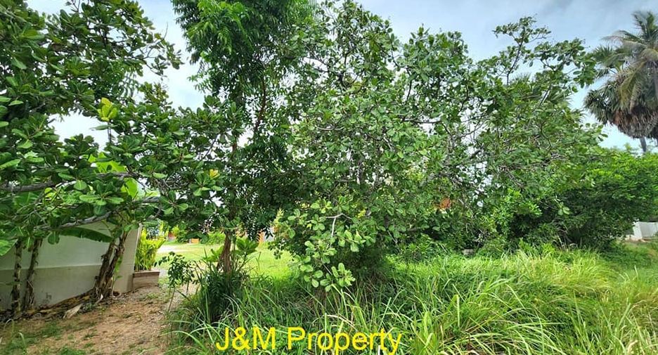 For sale land in Pran Buri, Prachuap Khiri Khan