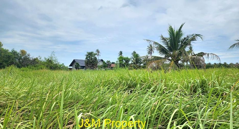 For sale land in Pran Buri, Prachuap Khiri Khan
