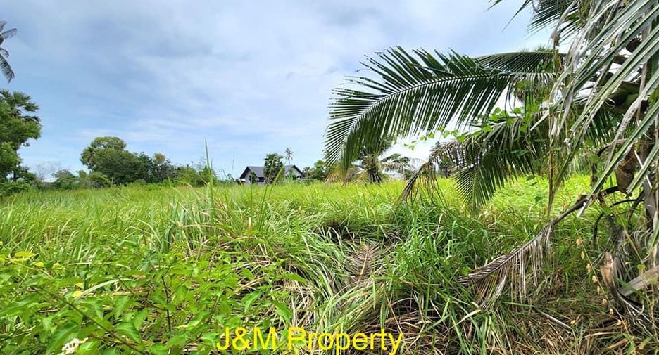 For sale land in Pran Buri, Prachuap Khiri Khan