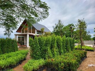出售 3 卧室 独立屋 在 San Sai, Chiang Mai