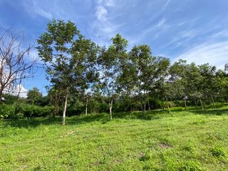 出售 土地 在 Hang Dong, Chiang Mai