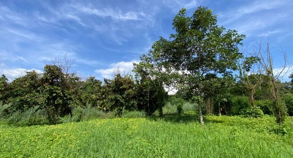 出售 土地 在 Hang Dong, Chiang Mai