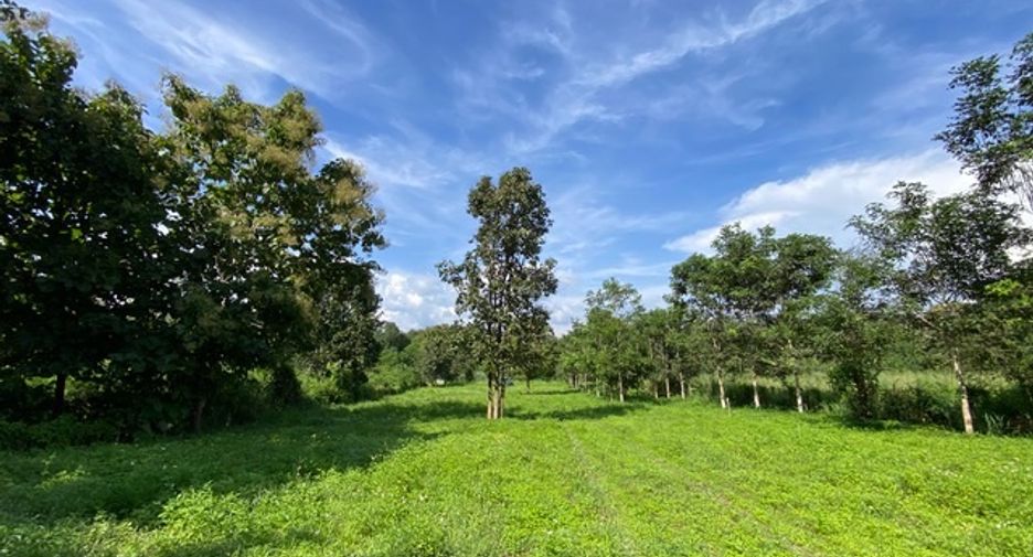 出售 土地 在 Hang Dong, Chiang Mai
