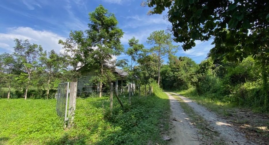 出售 土地 在 Hang Dong, Chiang Mai