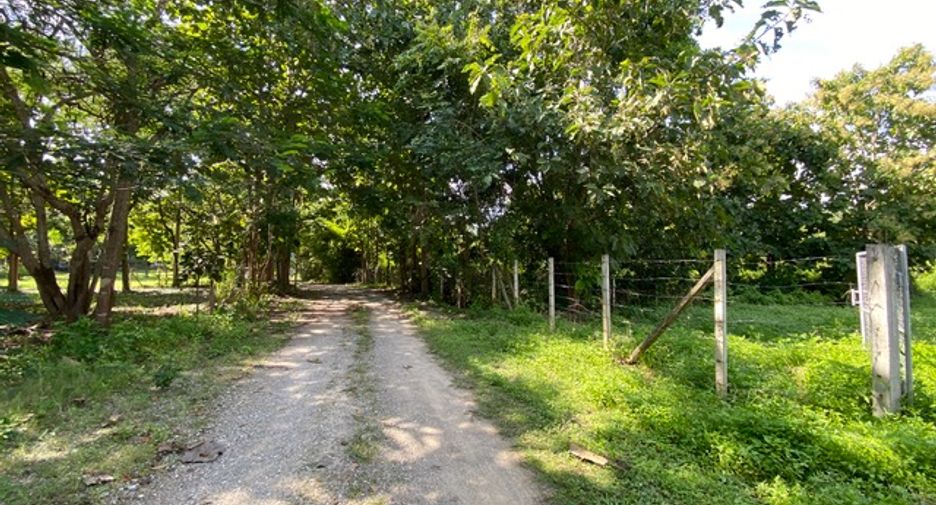 出售 土地 在 Hang Dong, Chiang Mai