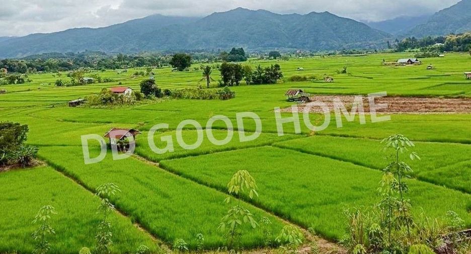 For sale land in Chiang Klang, Nan