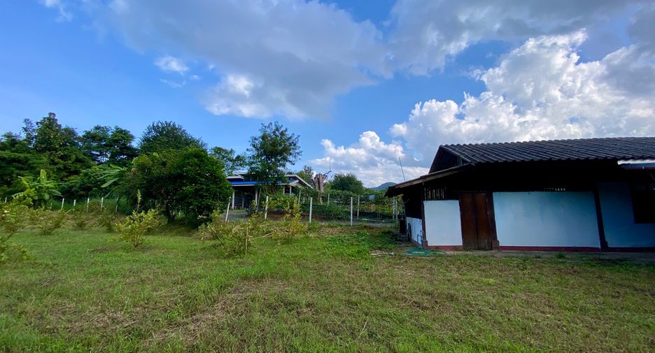 Grundstück zum Kauf in San Kamphaeng, Chiang Mai