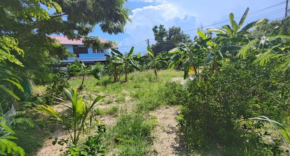 For sale land in Hua Hin, Prachuap Khiri Khan