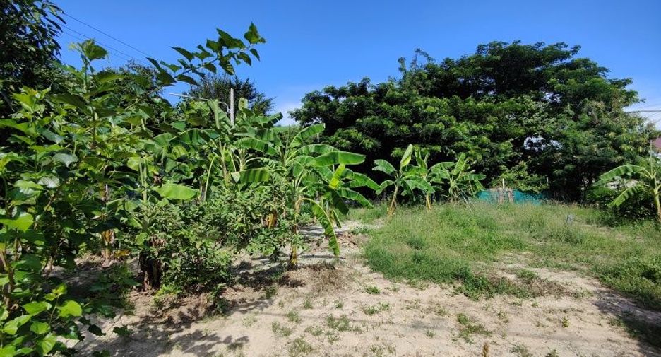For sale land in Hua Hin, Prachuap Khiri Khan