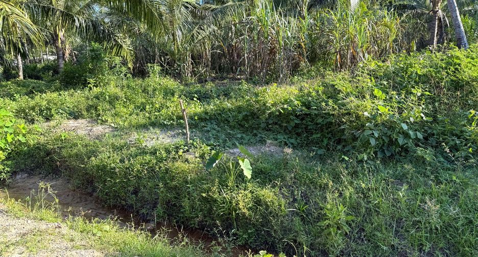 Terreno en venta en Mueang Krabi, Krabi