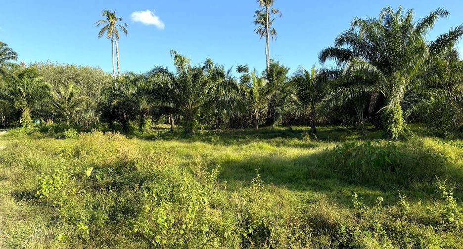 Terreno en venta en Mueang Krabi, Krabi