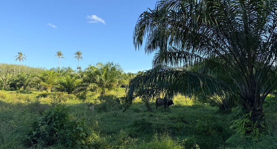 Terreno en venta en Mueang Krabi, Krabi