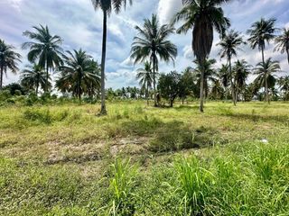 For rent land in Si Racha, Chonburi