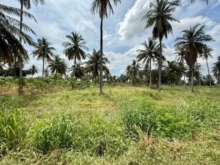For rent land in Si Racha, Chonburi