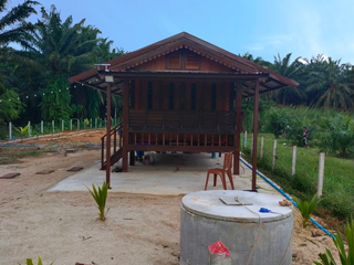 出售 土地 在 Takua Thung, Phangnga