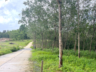 出售 土地 在 Takua Pa, Phangnga