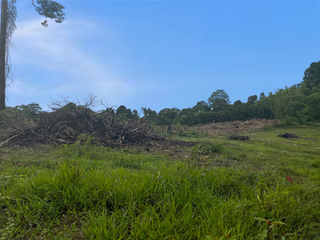 出售 土地 在 Takua Pa, Phangnga