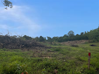 出售 土地 在 Takua Pa, Phangnga