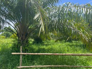 出售 土地 在 Takua Pa, Phangnga