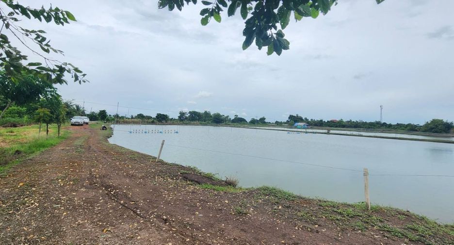 For sale land in Bang Khla, Chachoengsao
