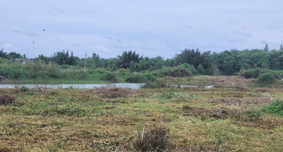 For sale land in Bang Khla, Chachoengsao