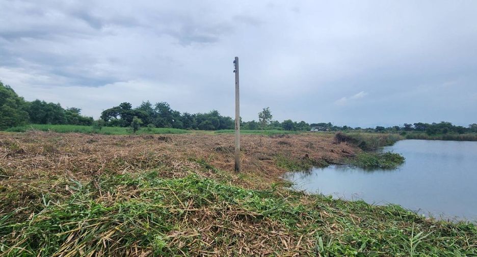 For sale land in Bang Khla, Chachoengsao