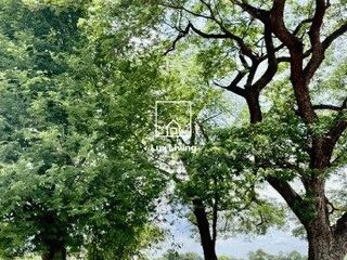 For sale land in Prachantakham, Prachin Buri