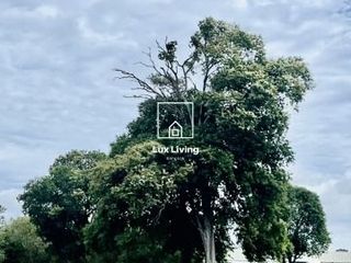 For sale land in Prachantakham, Prachin Buri
