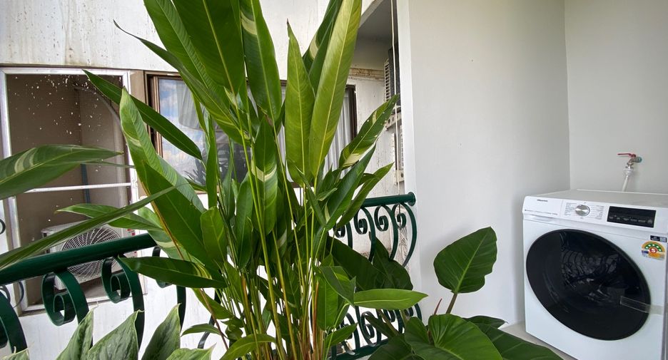 For rent and for sale 1 bed condo in Mueang Chiang Mai, Chiang Mai