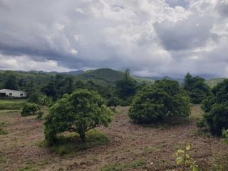 À vendre terrain à Li, Lamphun