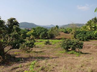 À vendre terrain à Li, Lamphun