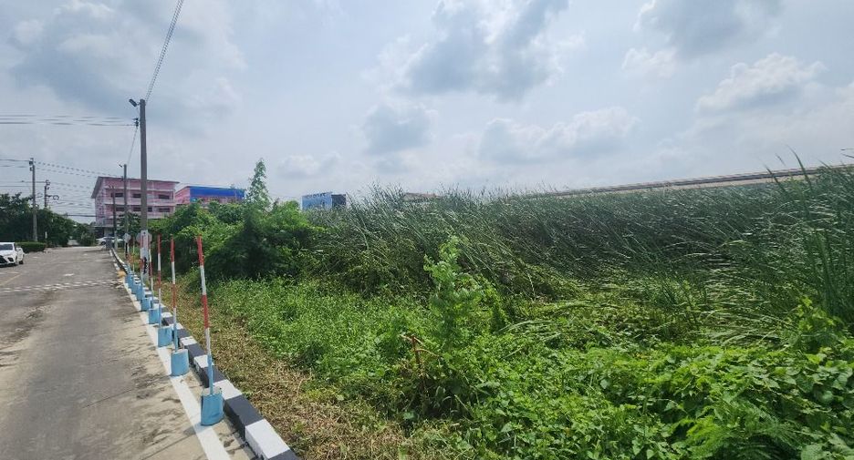 For sale land in Nong Khaem, Bangkok
