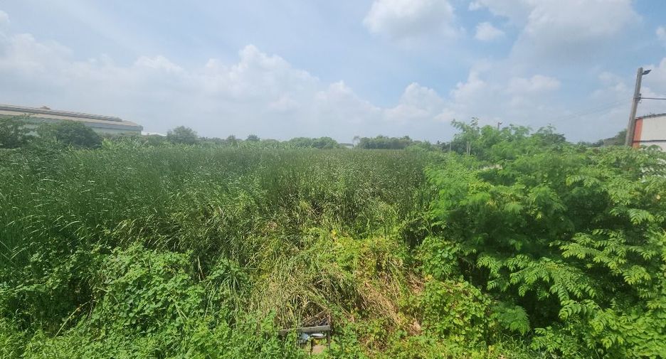For sale land in Nong Khaem, Bangkok
